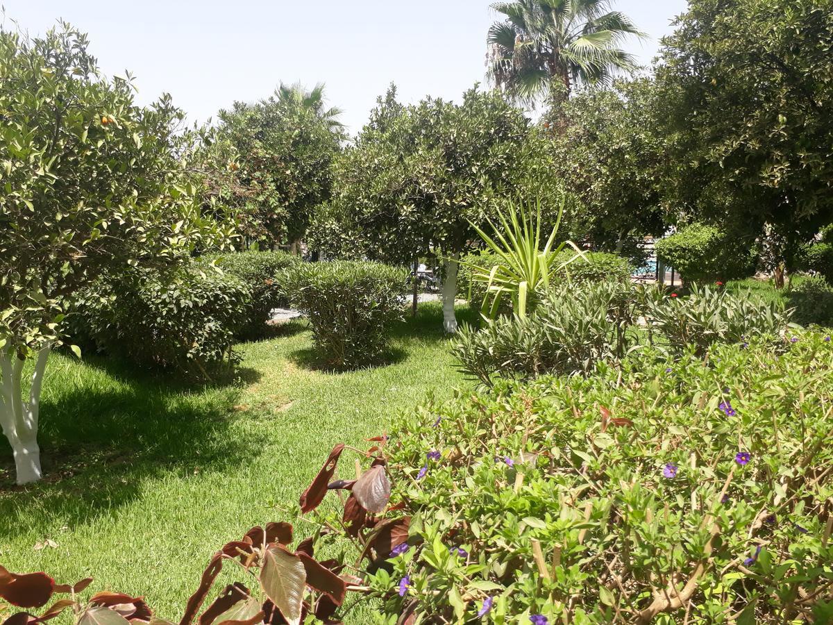 Almounia Hotel & Spa Taroudant Eksteriør billede